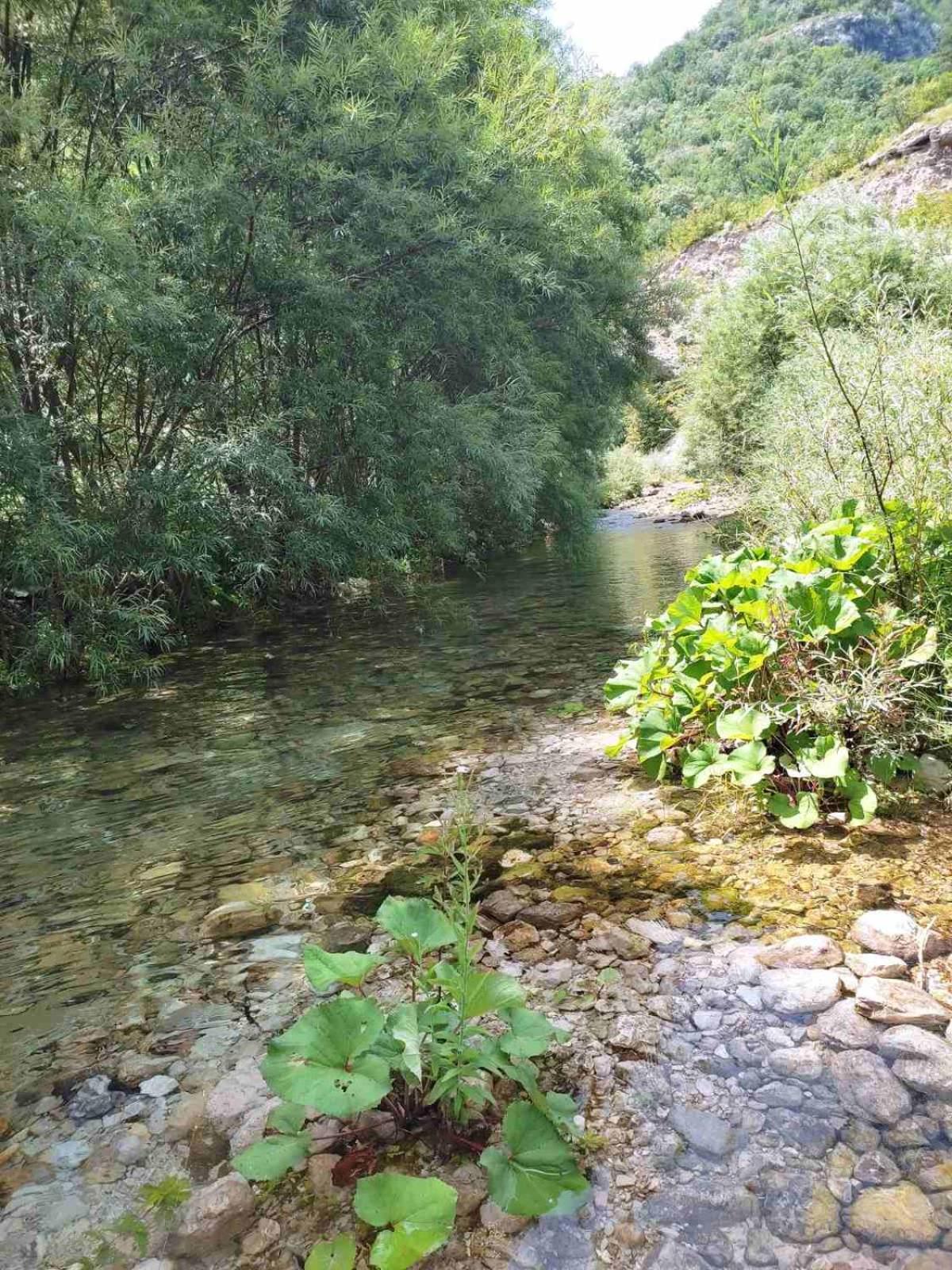 Kuca Za Odmor Diva Villa Mostar Bagian luar foto